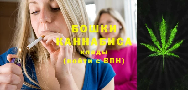 стафф Чекалин