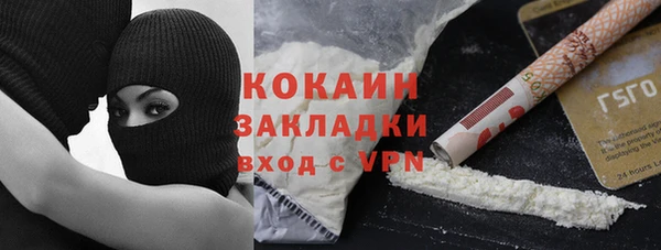 шишки Верея