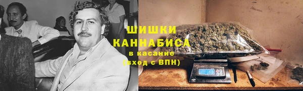 ПСИЛОЦИБИНОВЫЕ ГРИБЫ Чердынь