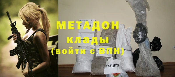 шишки Верея