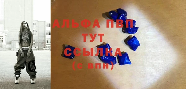 стафф Чекалин