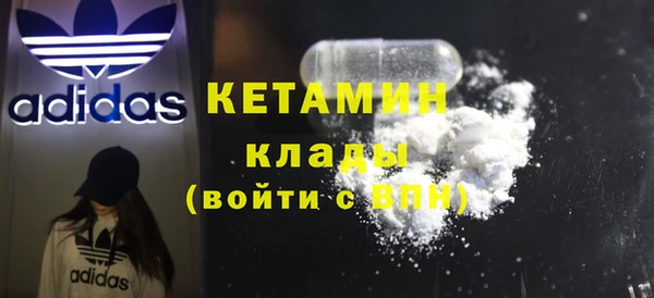 шишки Верея