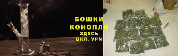 шишки Верея