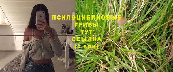бошки Верхний Тагил
