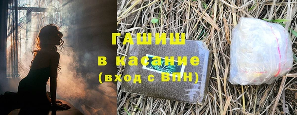 шишки Верея