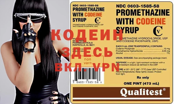 шишки Верея