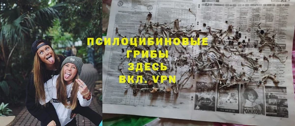 ПСИЛОЦИБИНОВЫЕ ГРИБЫ Чердынь
