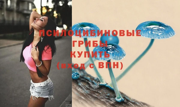 ПСИЛОЦИБИНОВЫЕ ГРИБЫ Чердынь