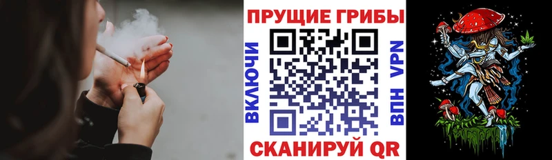 гидра рабочий сайт  Фёдоровский  Галлюциногенные грибы прущие грибы 
